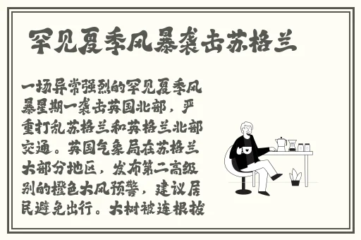 暴躁大妈荒野大镖客k9