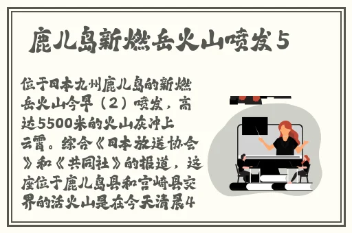 三级全黄app播放