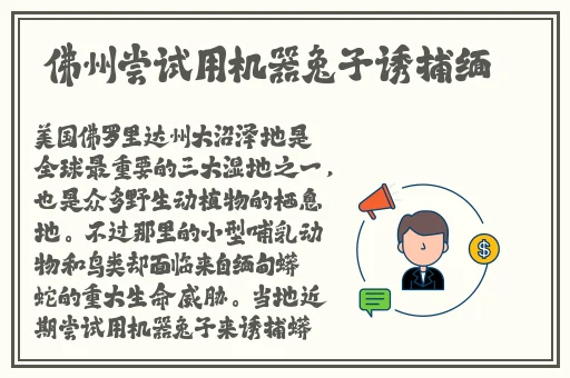 亚洲精品成人福利网站